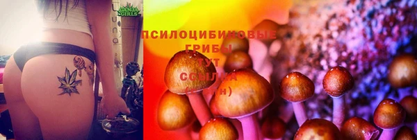 метамфетамин Каменка