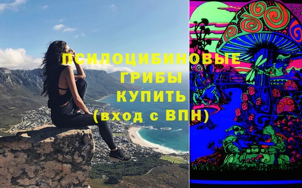 метамфетамин Каменка