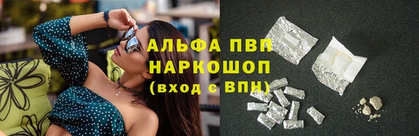 дмт Каменногорск