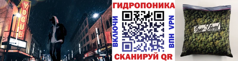 блэк спрут как зайти  Южно-Сухокумск  Шишки марихуана гибрид 